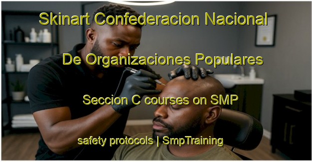 Skinart Confederacion Nacional De Organizaciones Populares Seccion C courses on SMP safety protocols | SmpTraining | SmpClasses | SkinartTraining-Mexico